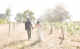 Sinclairs Gully WInery Wedding
