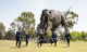 Groomsmen with dinosaur