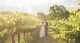 Woodstock winery wedding