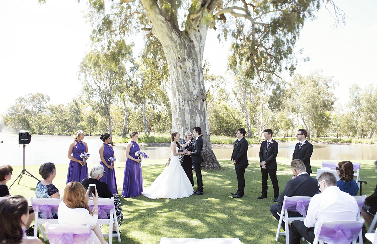 big list of mclaren vale wedding venues 14 Wedding at Serafino winery