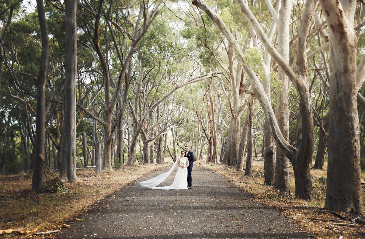 Belair National Park SvenStudios