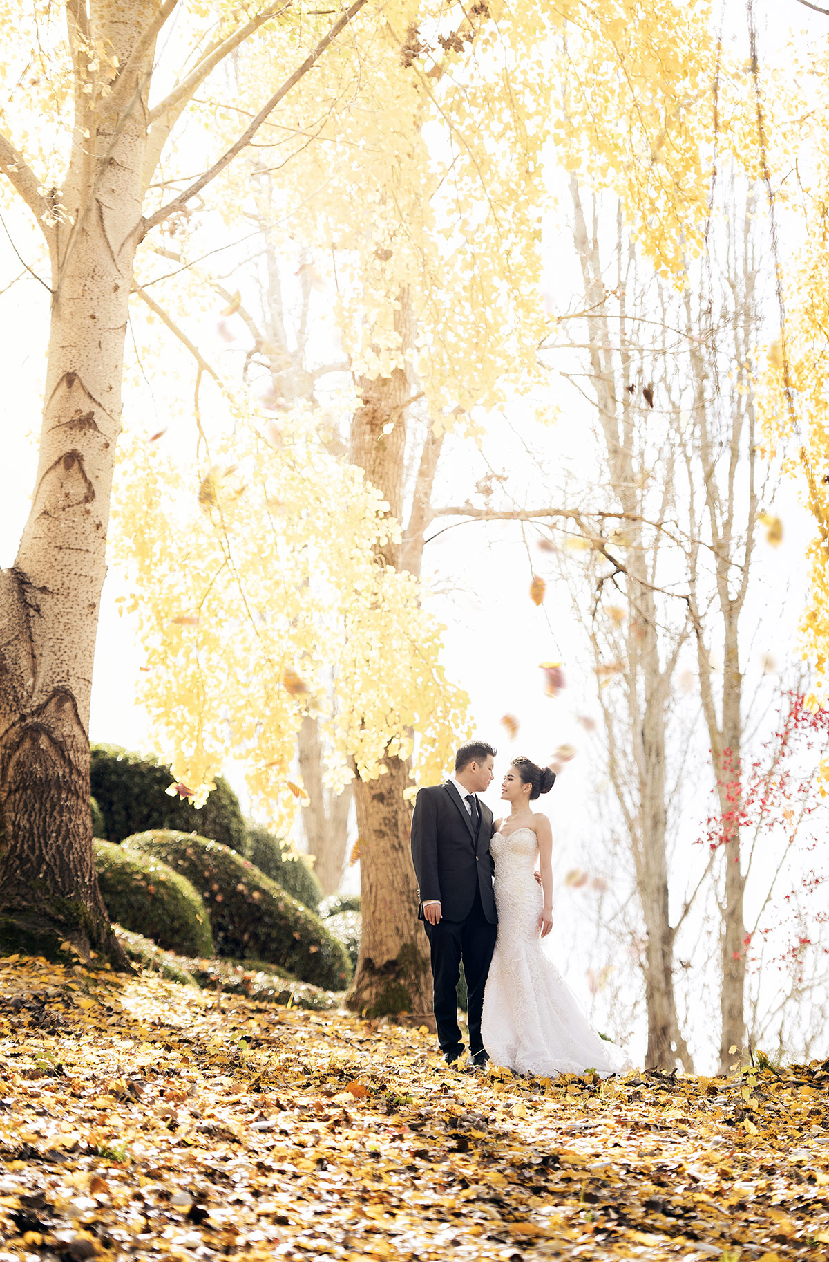 thorngrove manor engagement shoot - rya & evan 28 Autumn colours at the Mt Lofty Botanic Park