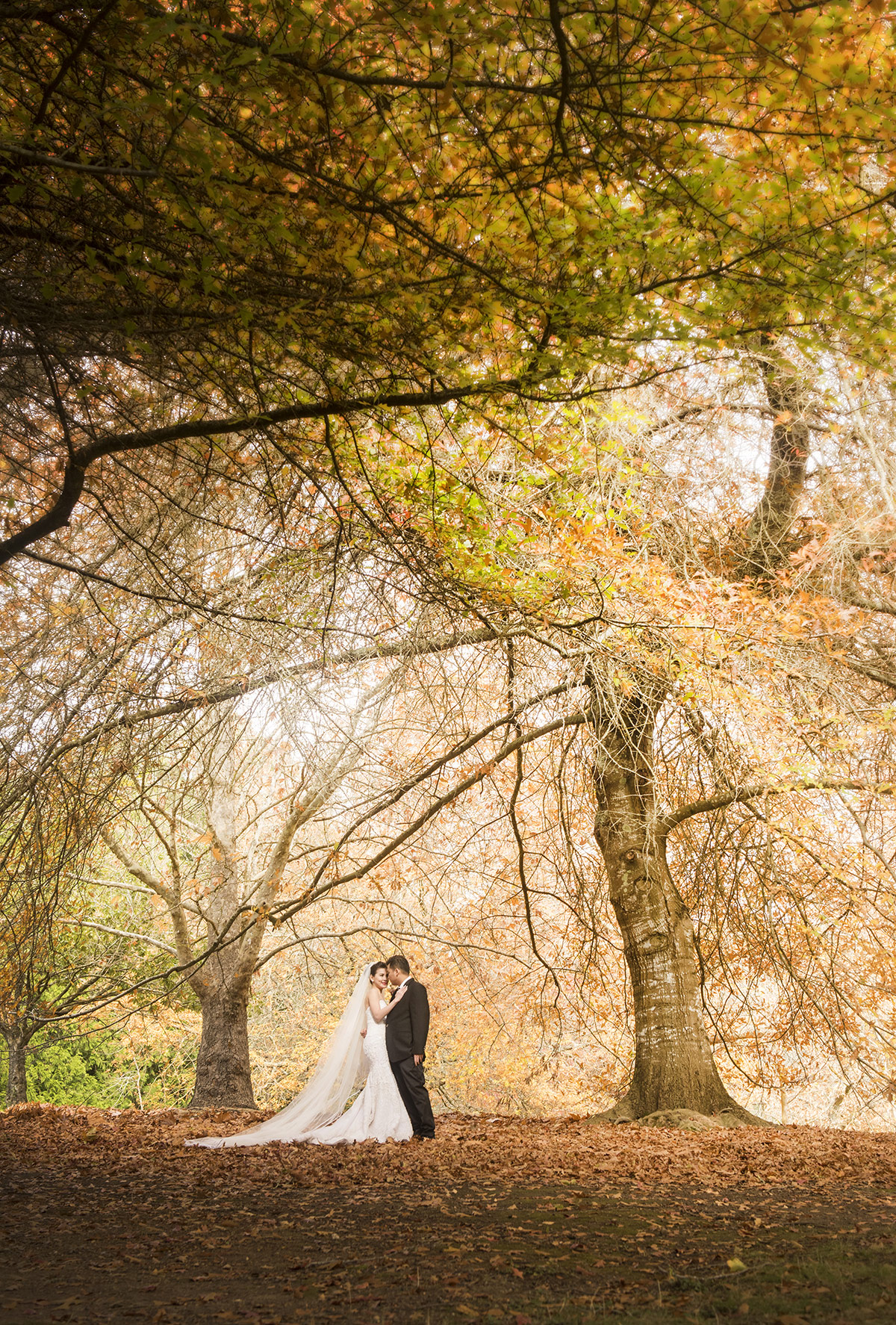thorngrove manor engagement shoot - rya & evan 25 Bride and Groom in autumn