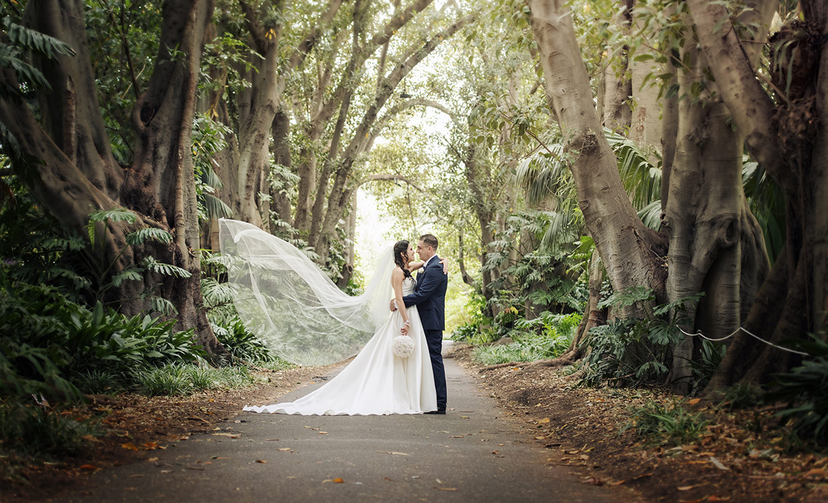 Adelaide Botanic Garden Wedding
