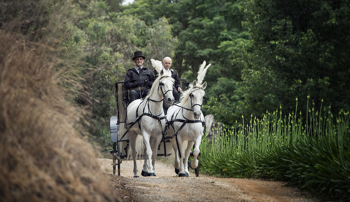 arrive in style: unique wedding transportation ideas 3 Bridal horse and carriage
