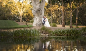 mt osmond golf course wedding - ash & brad 4 Bride and groom under gum tree