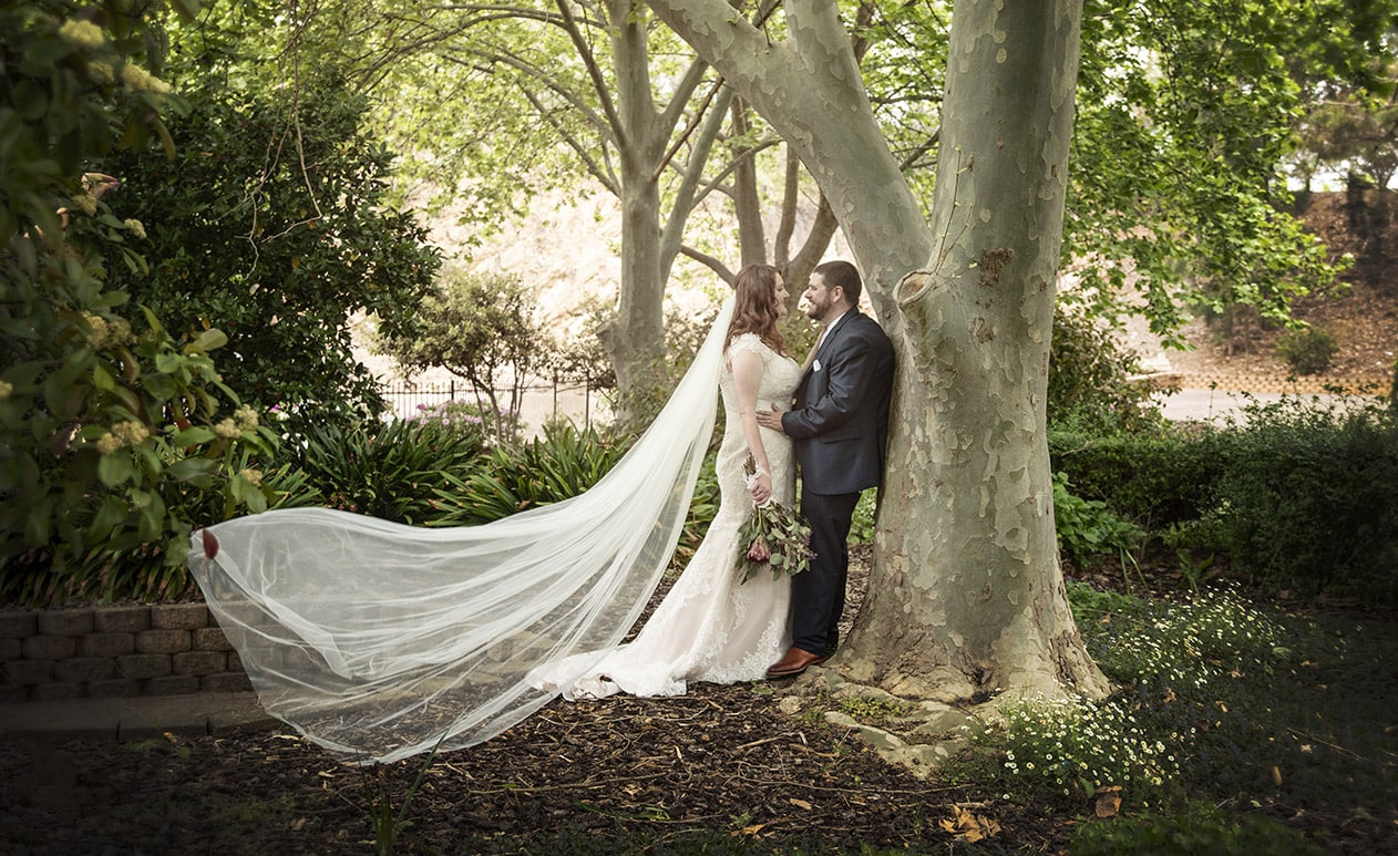 stockade botanic park 5 Bride and groom against a tree at the Stockade Botanic park