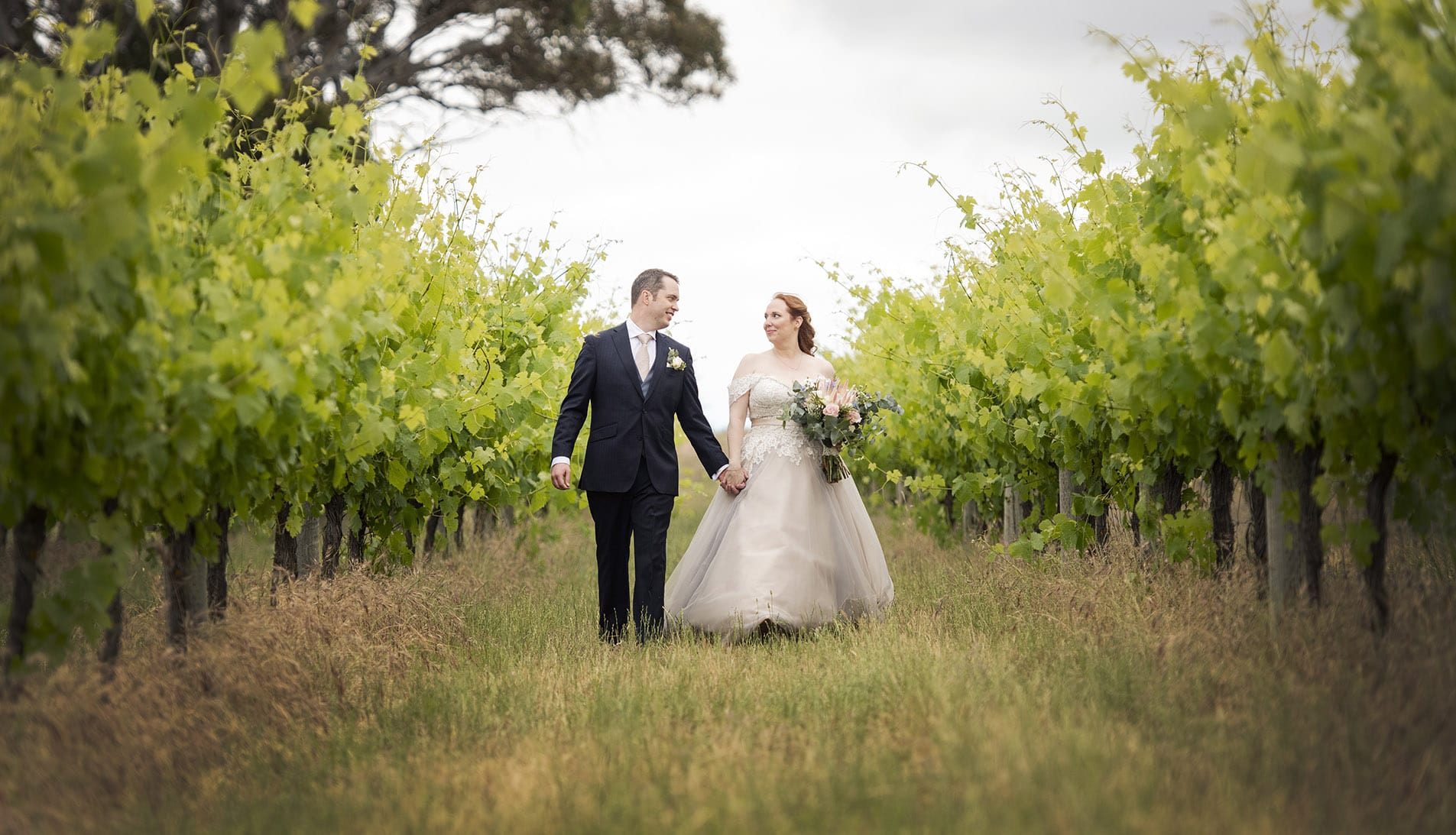 Bride and groom in the Ivybrook Farm vineyards