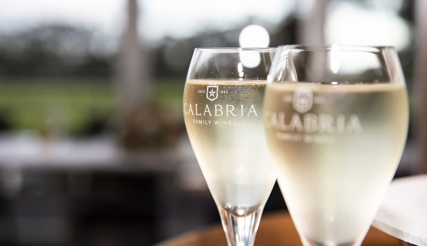 seppeltsfield winery wedding - tahlia & alex 75 Calabria Family Wines