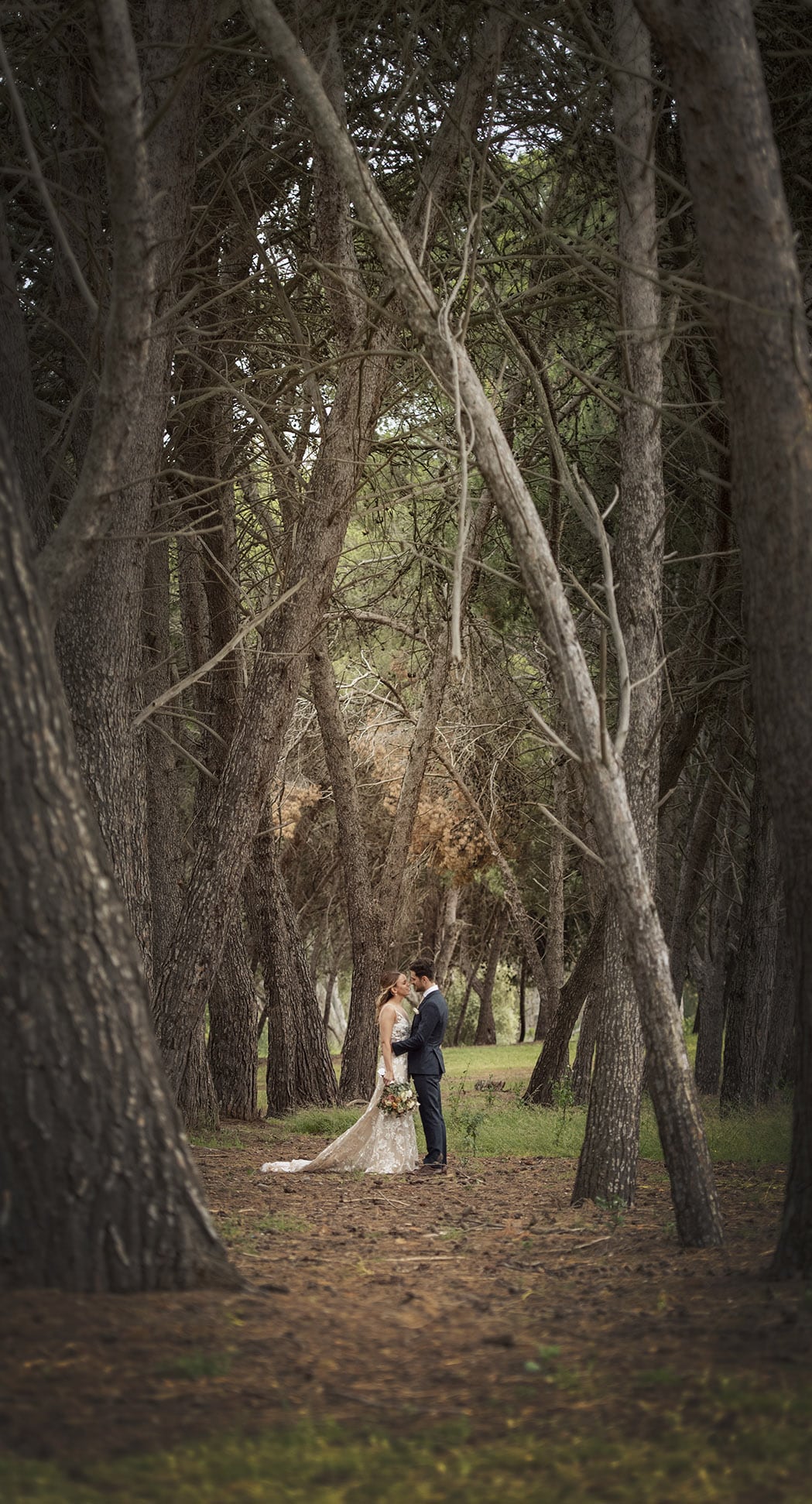 seppeltsfield winery wedding - tahlia & alex 70 Seppeltsfield winery wedding photo in trees