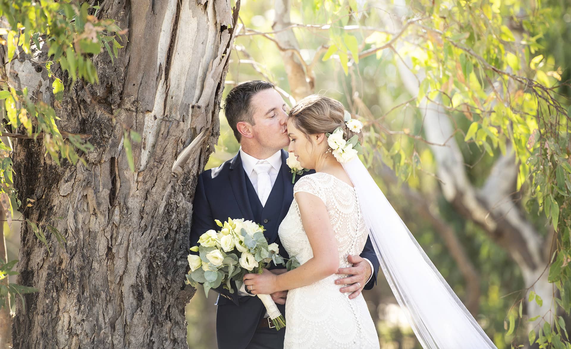 serafino wines wedding - claire & arron 55 bridal couple kiss under gum tree