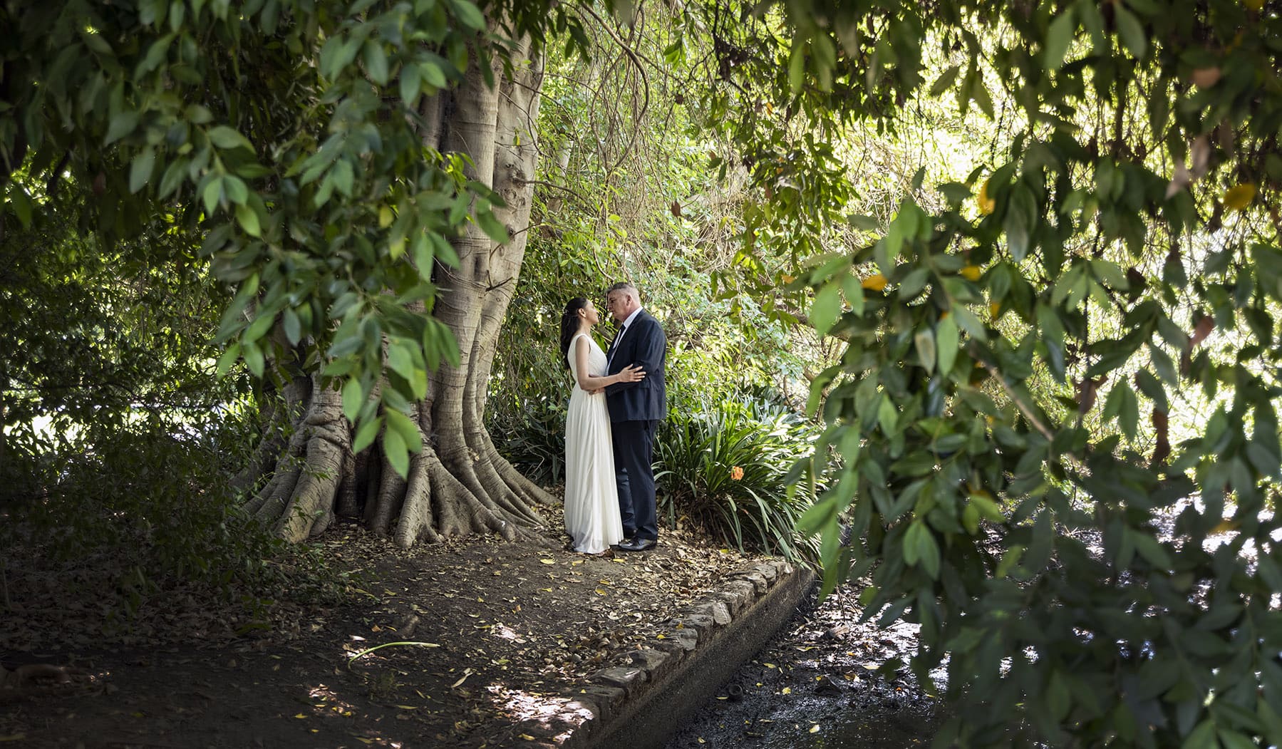 botanic park wedding - naz & peter 38 Amongst the trees at the Adelaide Botanic Gardens