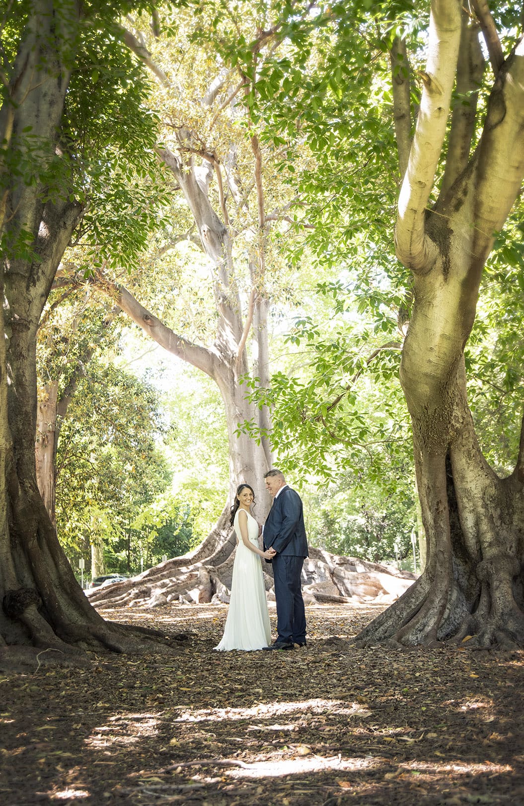 botanic park wedding - naz & peter 28 Large Moreton Bay Fig trees as a backdrop to the bride and groom