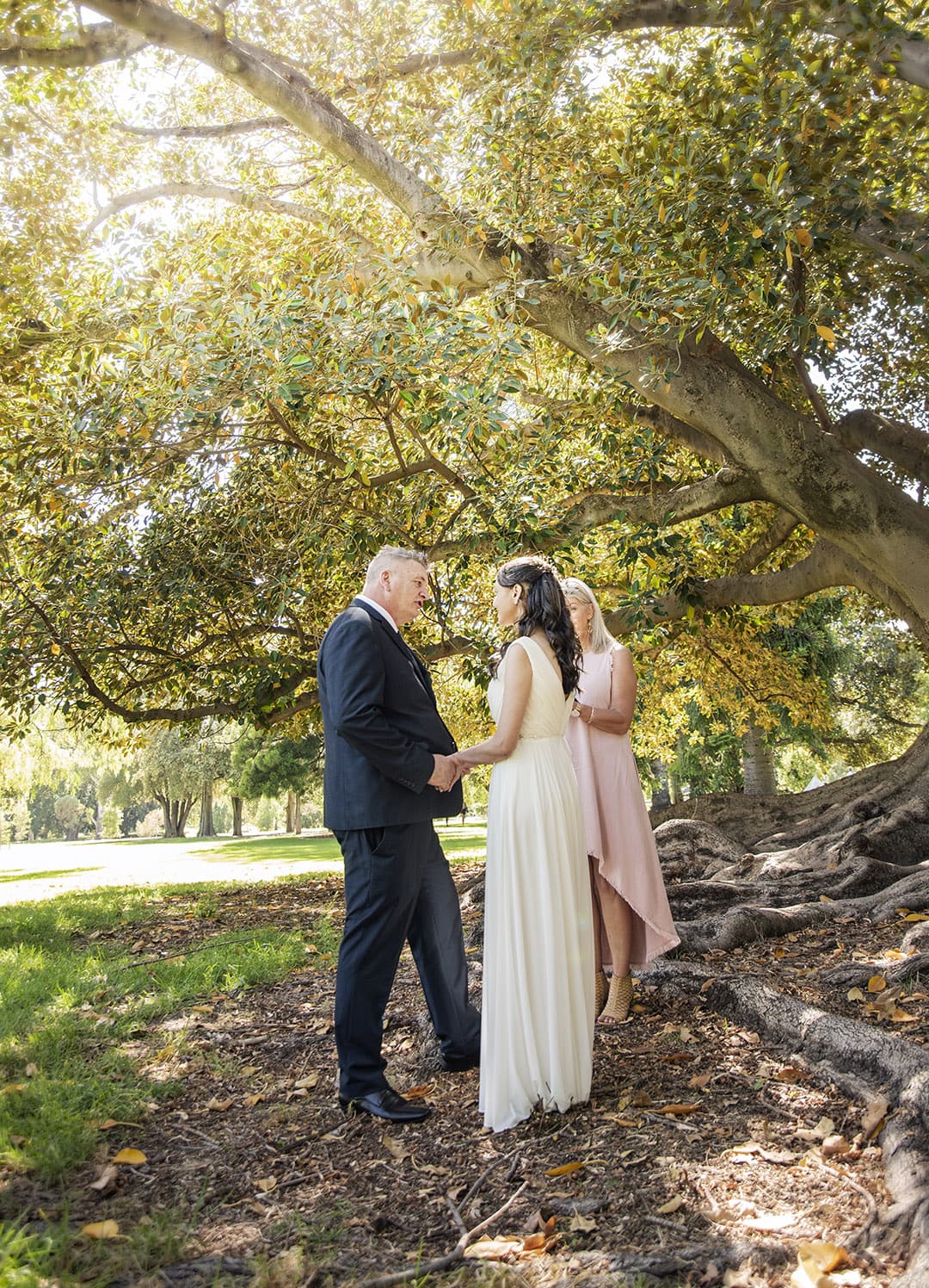 botanic park wedding - naz & peter 16 Sun gleaming through the foliage