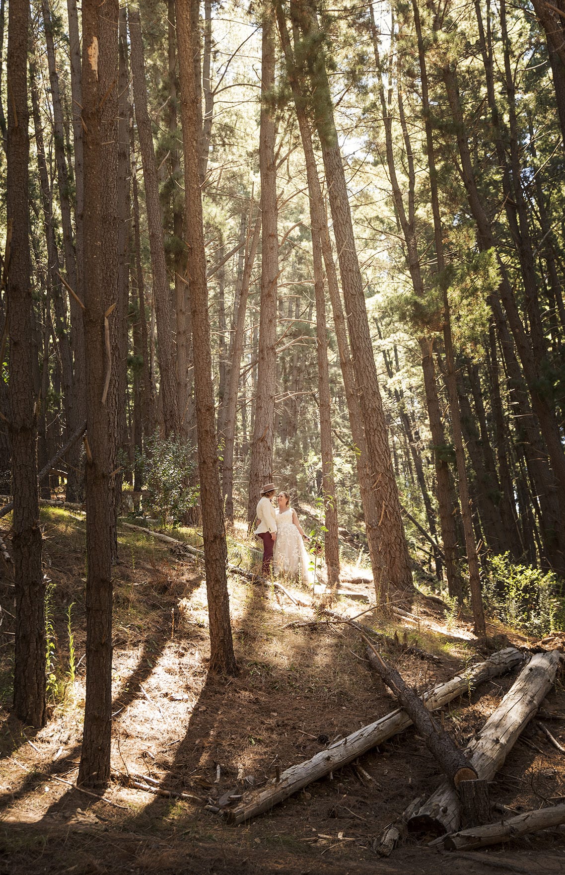 old oval estate wedding - suzie & jay 88 Bride and groom up the hill a bit in Kuitpo Forest