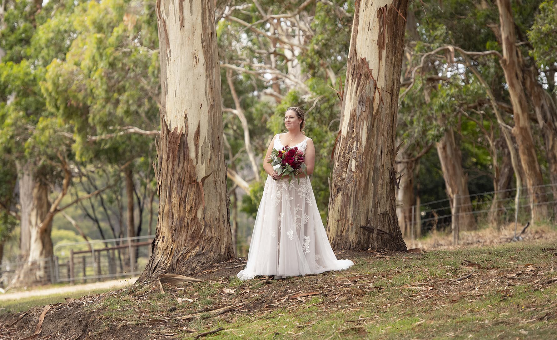 old oval estate wedding - suzie & jay 75 bride standing by herself infront of gum trees