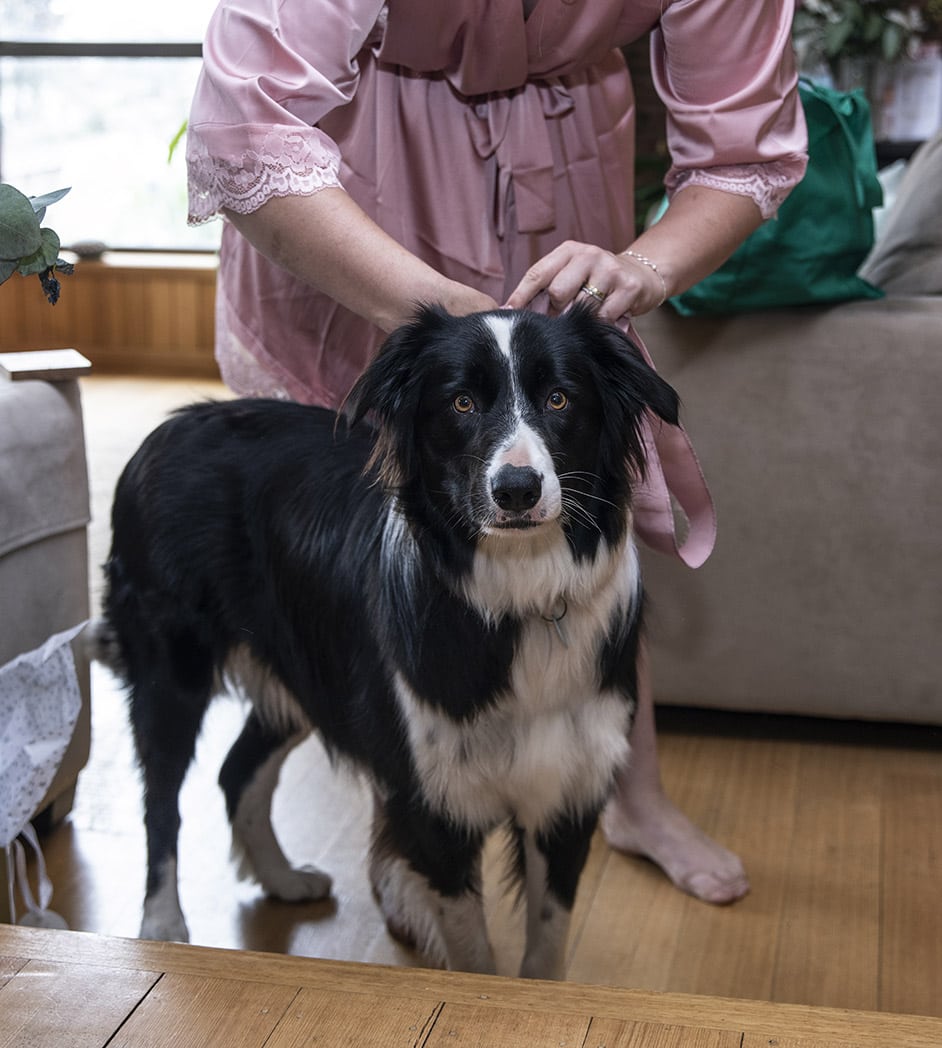 seagrass long point wedding - hobart - georgia & matt 38 Doggo