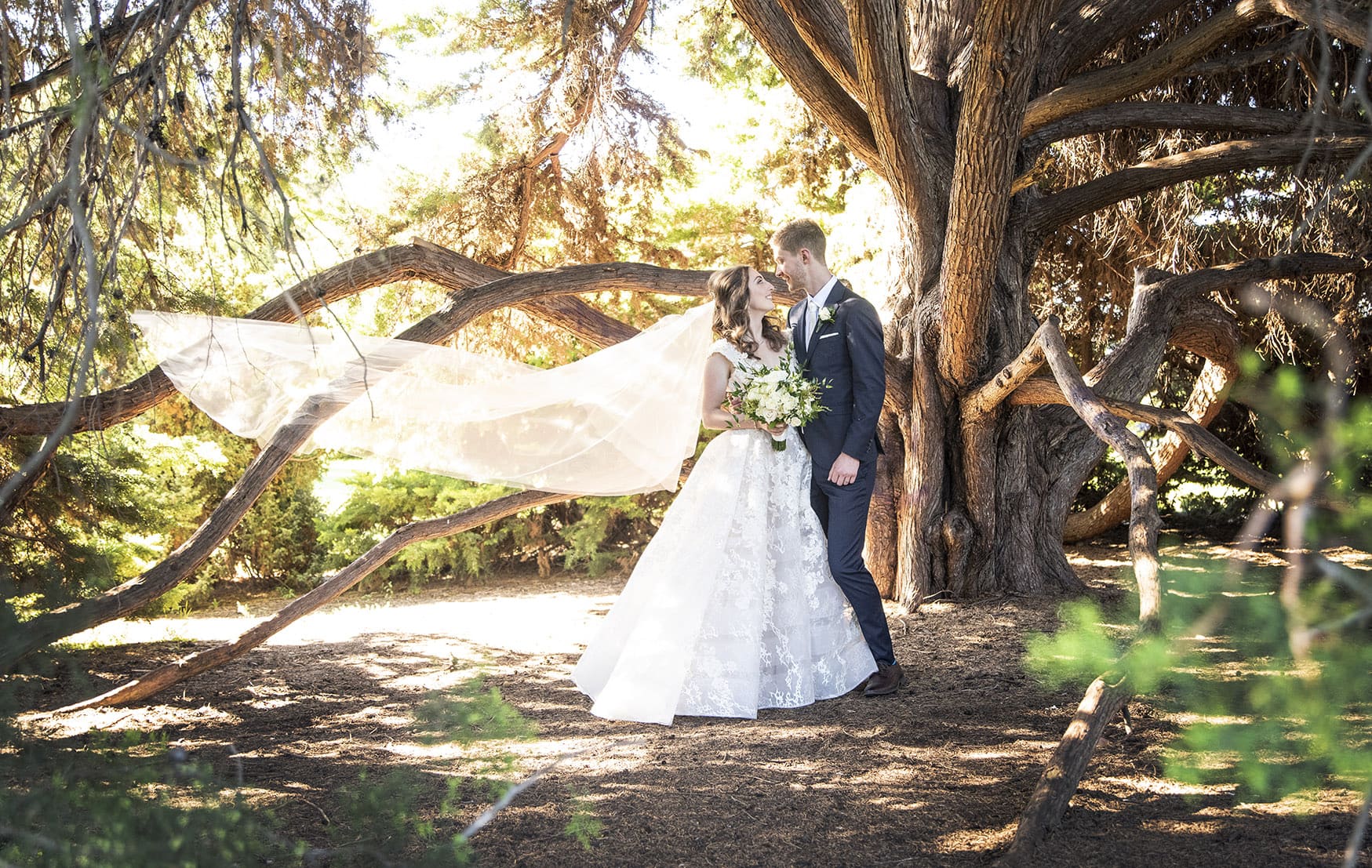 national wine center wedding - pat & kat 154 bride and grom under hollowed out foliage