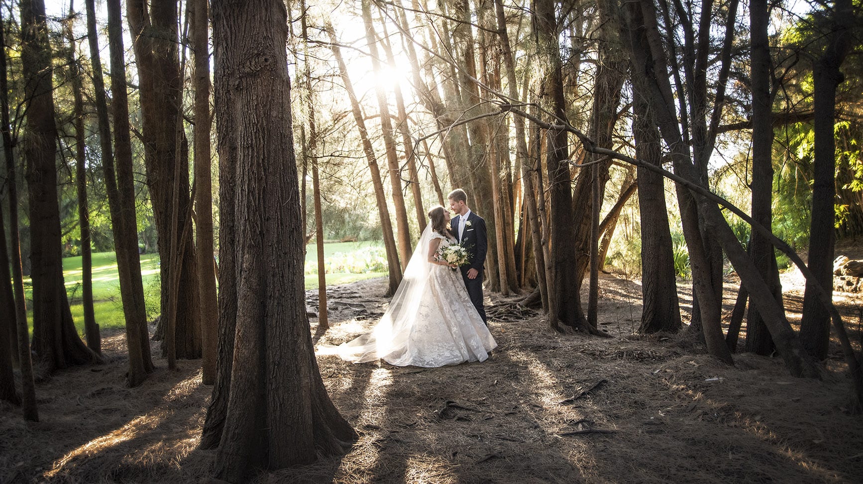 national wine center wedding - pat & kat 171 Sunset in the Adelaide Botanic Gardens