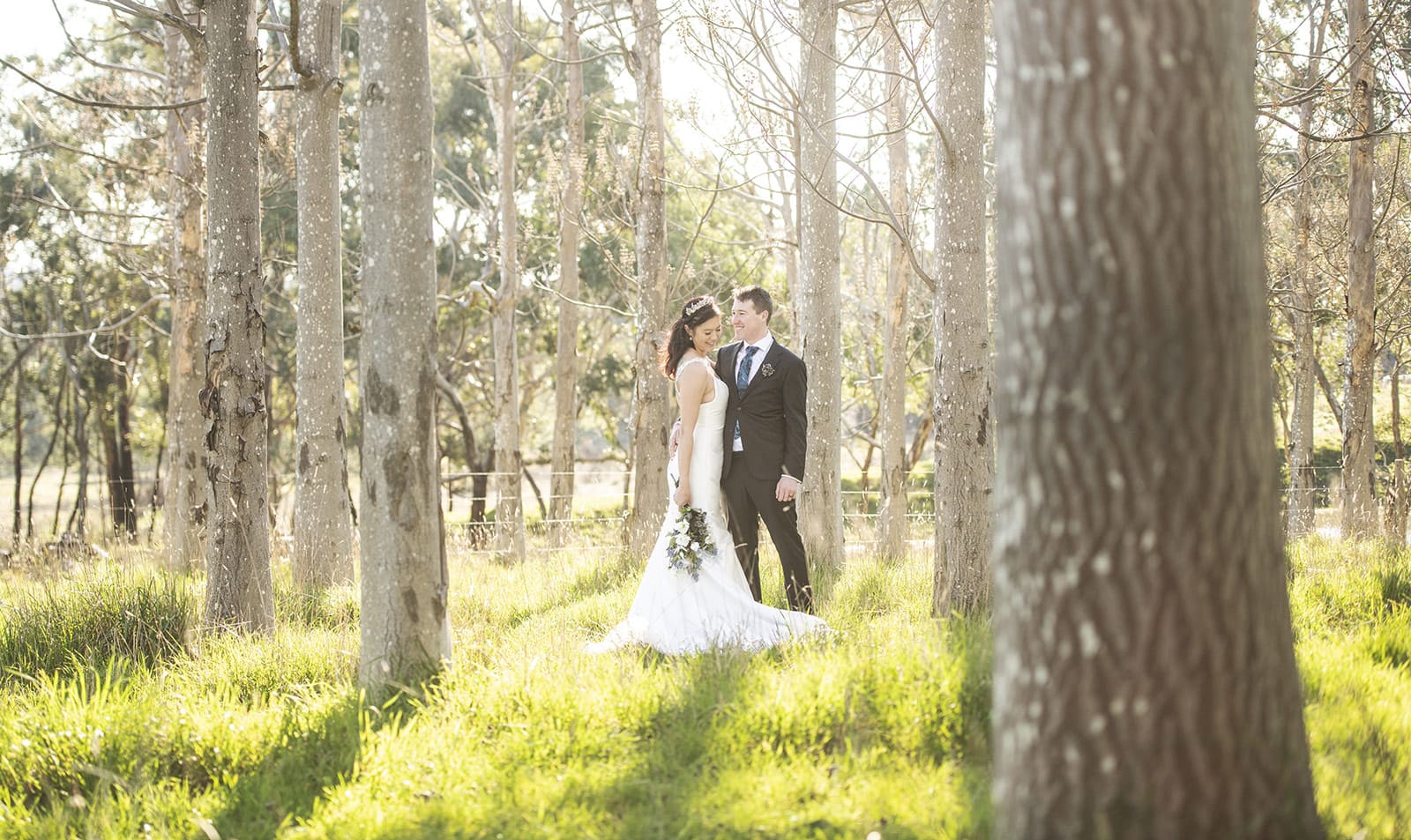 bride and groom amongst young trees bride and groom amongst young trees