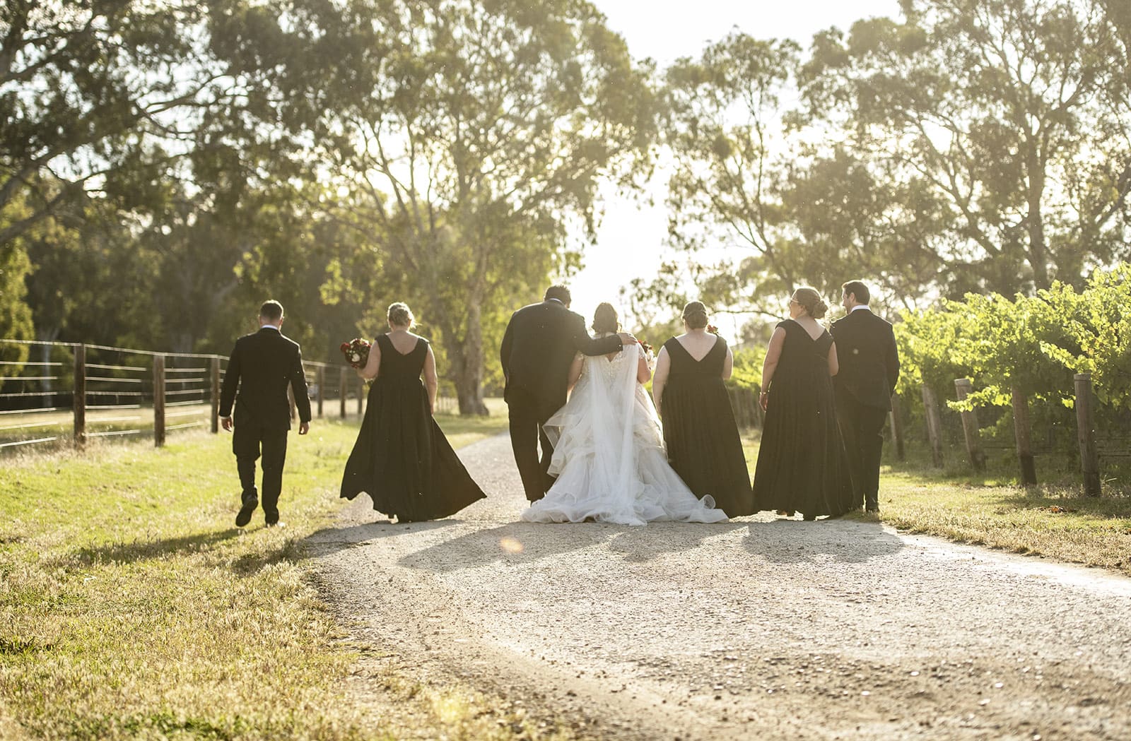 lake breeze wines wedding - cate & renato 40 bridal party walking off into the sunset