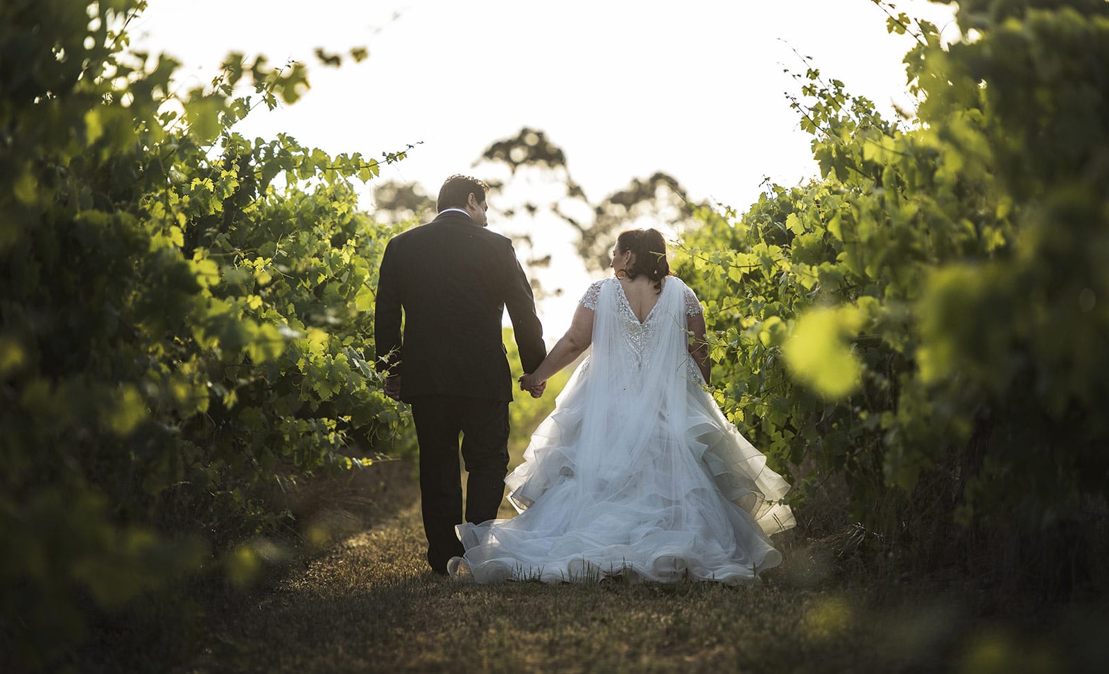 lake breeze wines wedding - cate & renato 44 bride and groom waking through vineyard