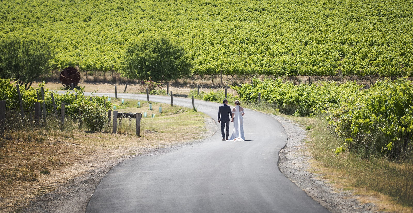 coriole wines wedding - marielle & brendan 28 Bride and groom walking down Coriole wines driveway