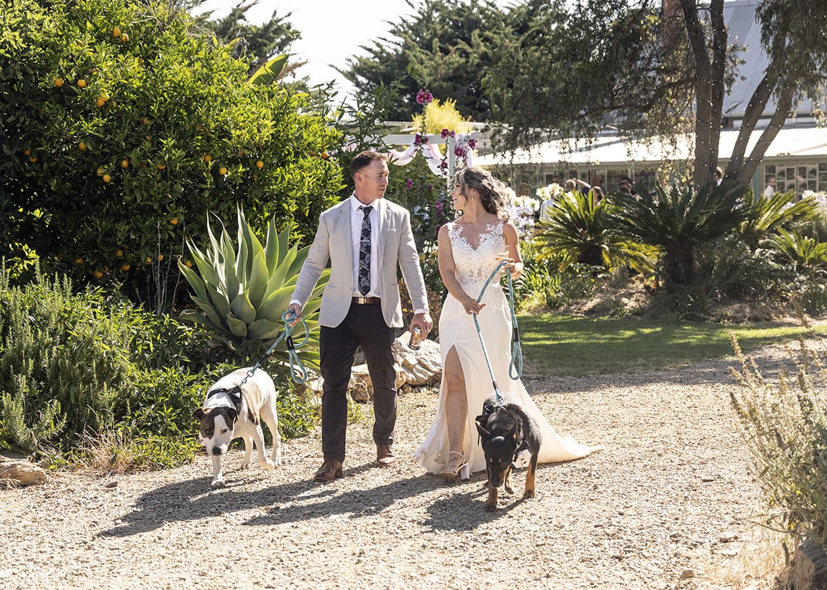 big easy radio wedding - leanne & evan 42 Bride and groom walking their dogs
