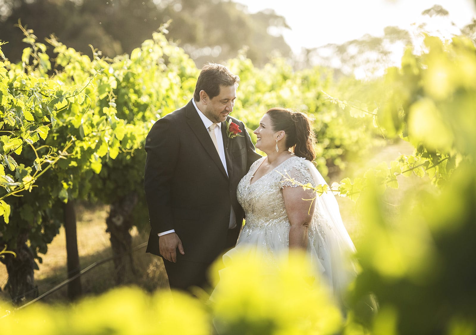 lake breeze wines wedding - cate & renato 46 lake breeze wines wedding photography