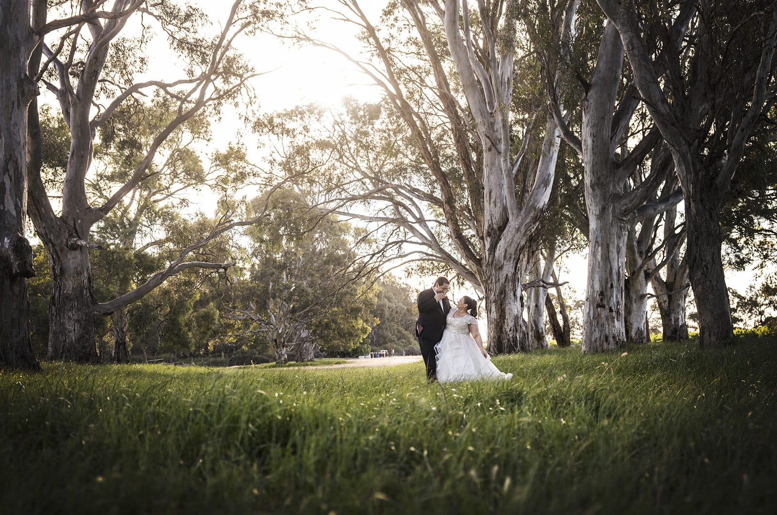 lake breeze wines wedding - cate & renato 43 Landscape shot with bugs