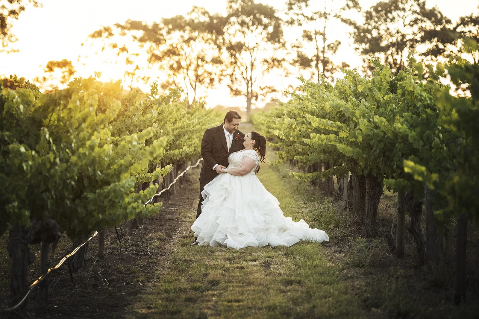 lake breeze wines wedding - cate & renato 49 Sunset in the vineyards