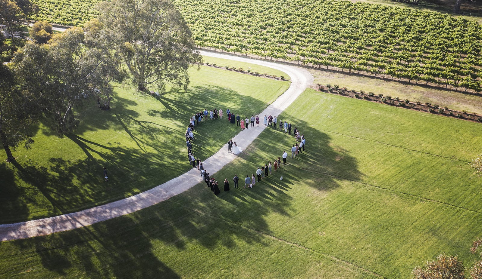 lake breeze wines wedding - cate & renato 37 Wedding party from drone