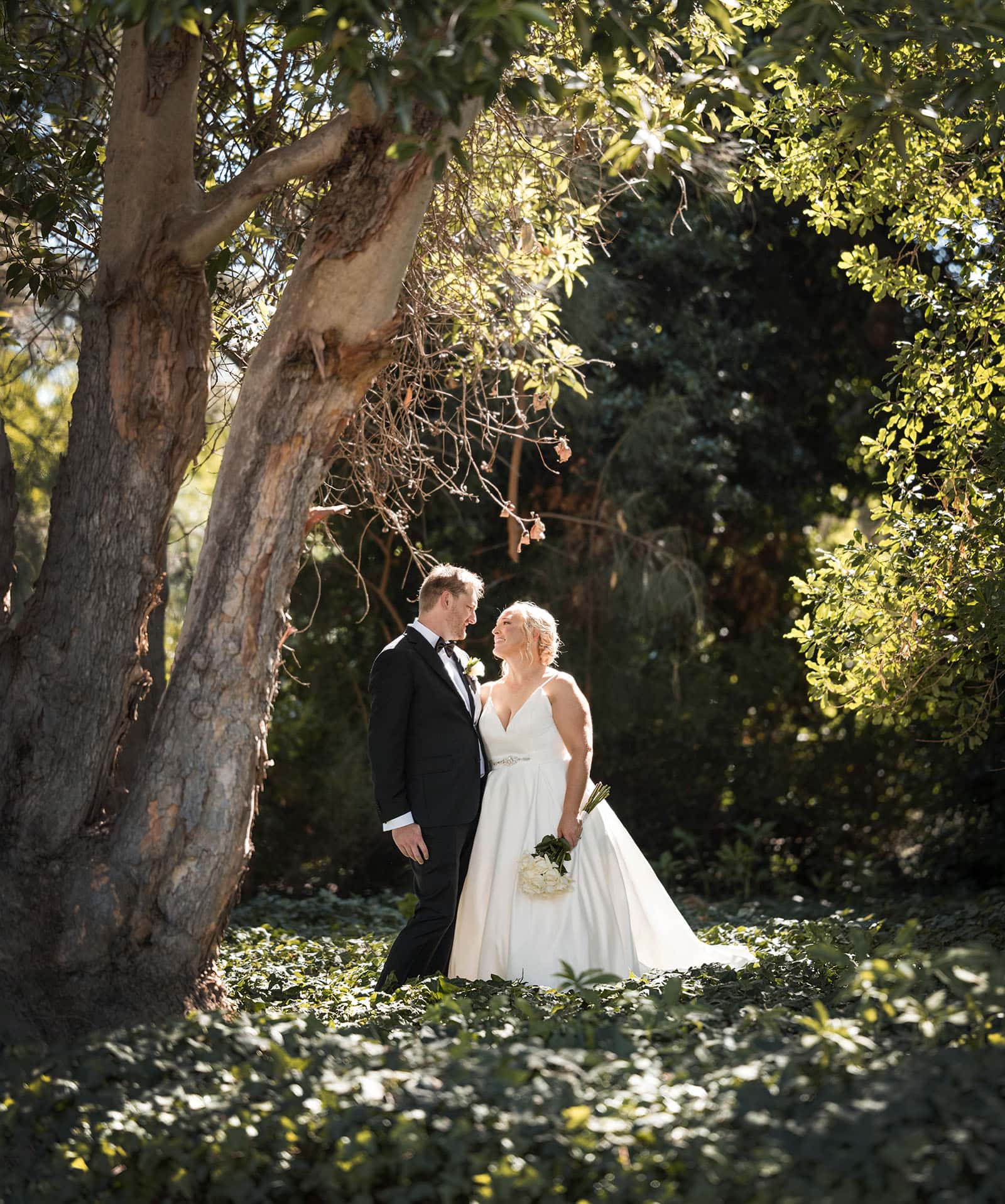 adelaide botanic gardens cycad collection wedding - joanne & blake 30 Bride and groom bathed in sunlight
