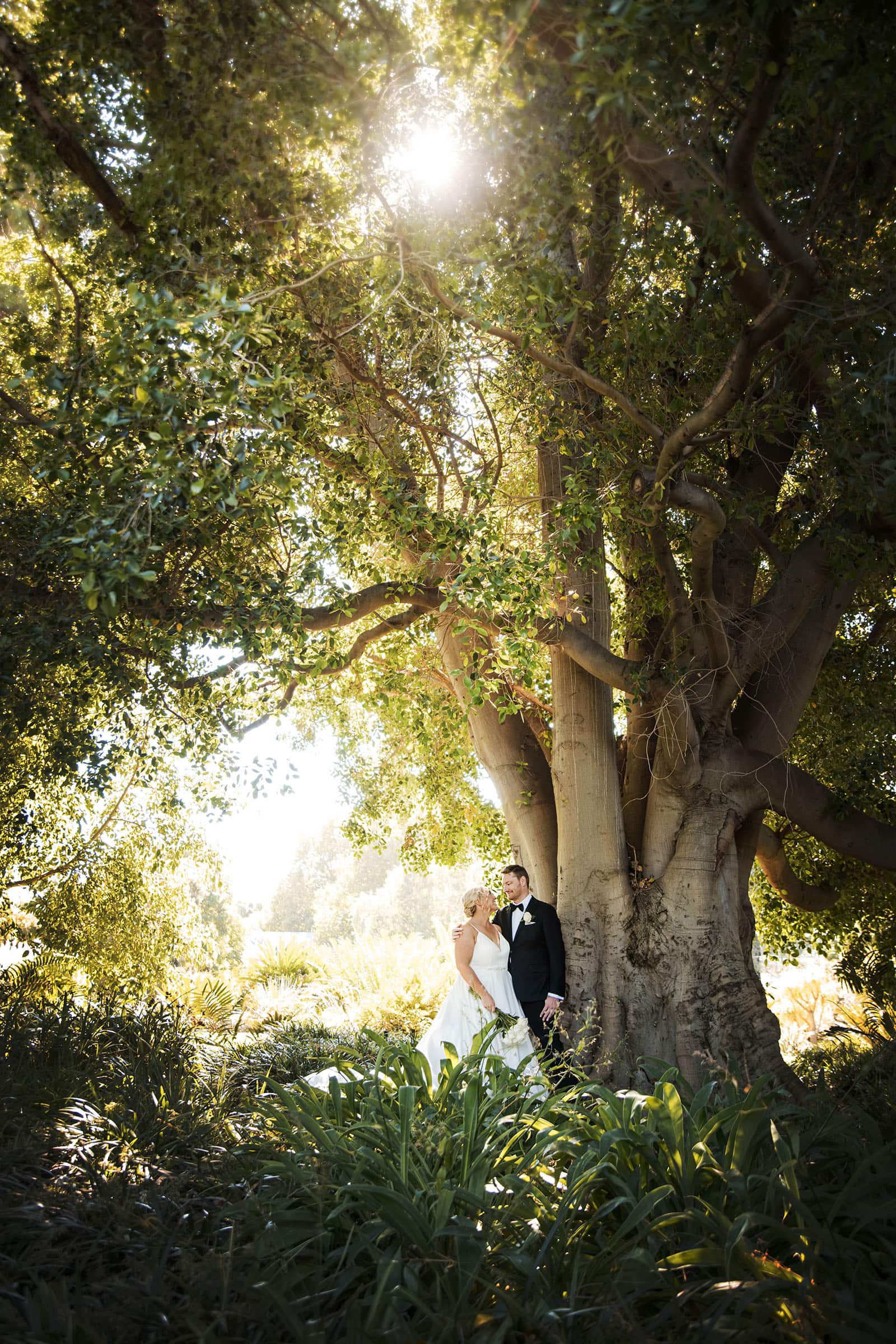 adelaide botanic gardens cycad collection wedding - joanne & blake 26 Bride and groom leaning against large tree with sunlight