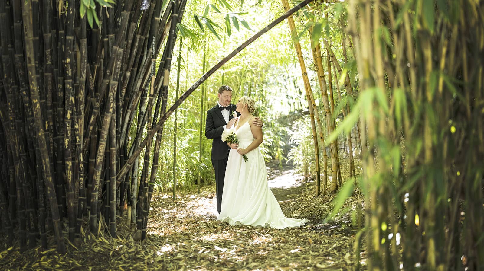 adelaide botanic gardens cycad collection wedding - joanne & blake 34 bride and groom under bamboo
