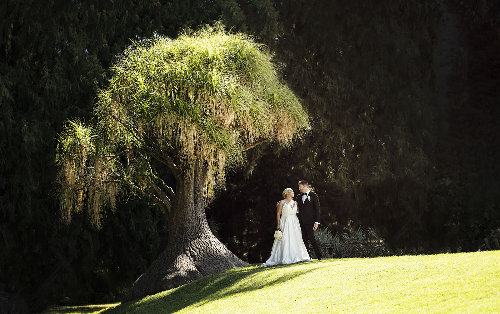 adelaide botanic gardens cycad collection wedding - joanne & blake 28 Cycad collection wedding photo