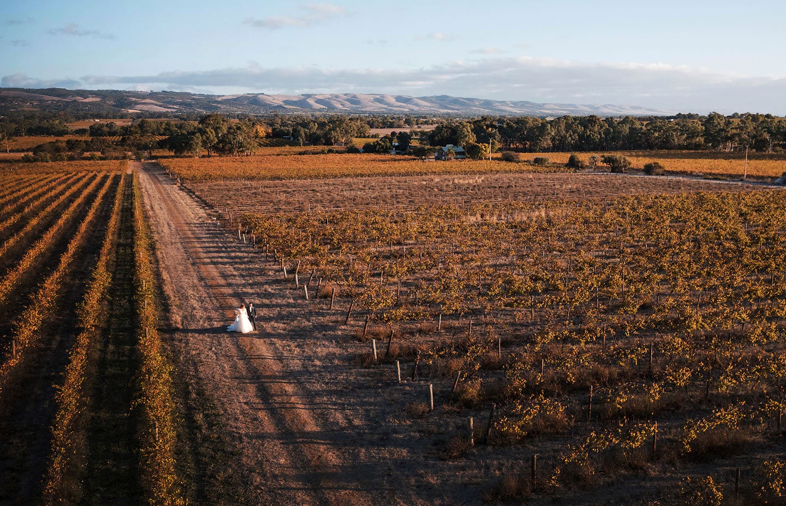 mclaren vale ekhidna wines wedding - kait & brayden 43 Bride and groom front the air inbetween vineyards offcenter