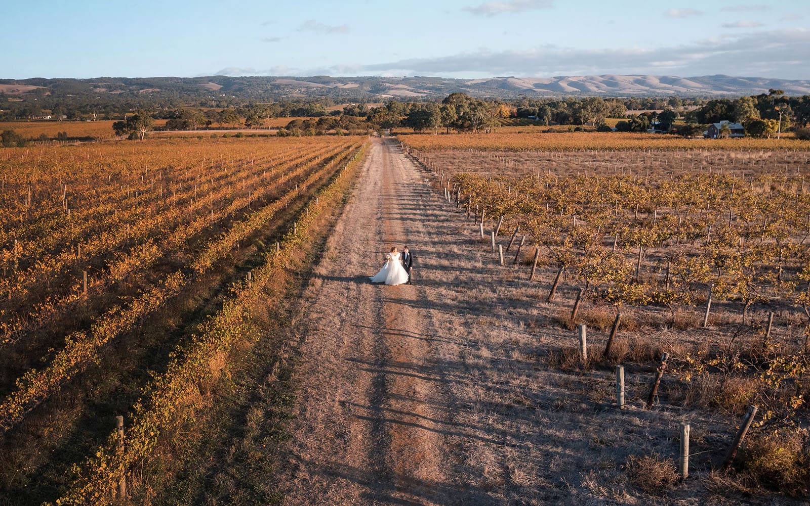 mclaren vale ekhidna wines wedding - kait & brayden 42 Bride and groom front the air inbetween vineyards