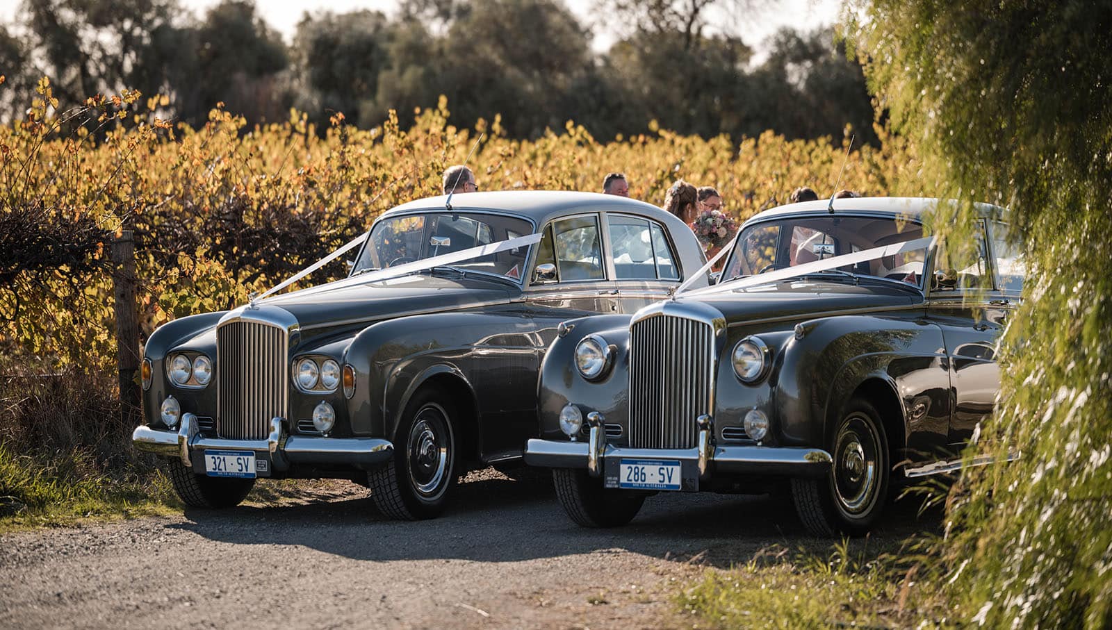 mclaren vale ekhidna wines wedding - kait & brayden 29 Wedding cars lined up