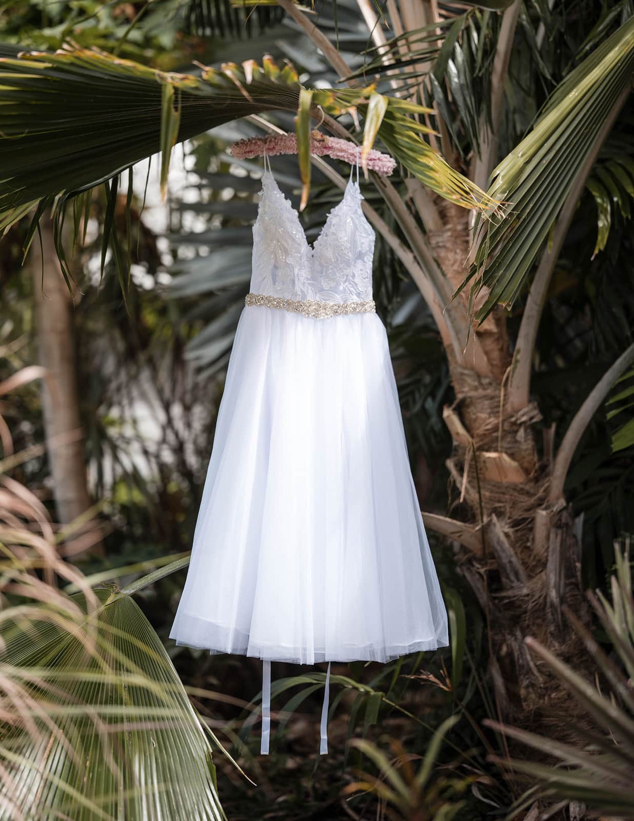 darwin's dudley point wedding - melanie & kerry 6 Wedding dress hanging in tree in Darwin