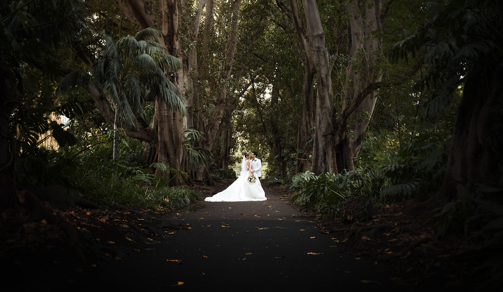 adelaide bridal photoshoot and reception - emre & sara 28 Adelaide Botanic Gardens wedding photo