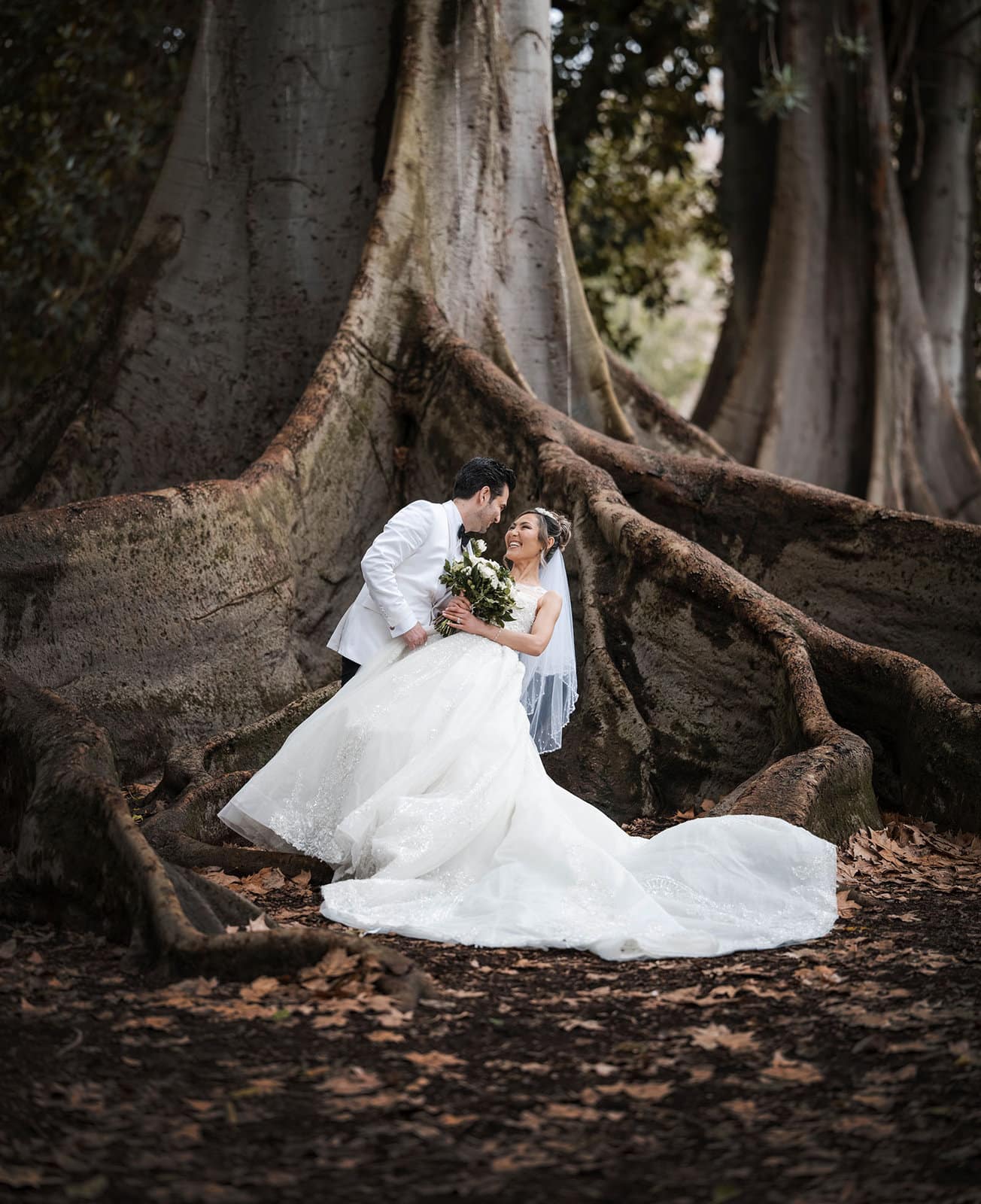 adelaide bridal photoshoot and reception - emre & sara 24 Bridal dip in the roots of a Moreton Bay Fig tree