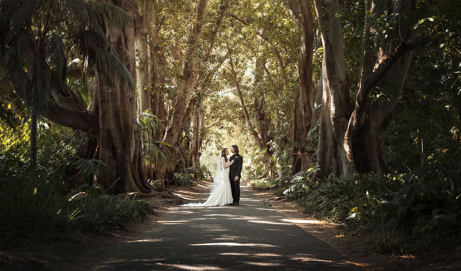 adelaide botanic gardens 9 Adelaide Botanic Gardens wedding photo in the elm lane