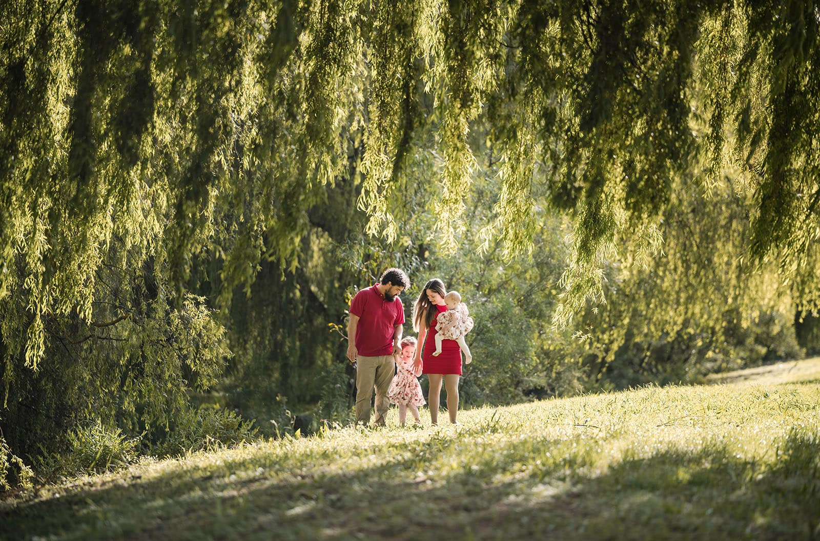 fountain valley reserve family shoot - shaw family 13 Family Photography under weeping willows