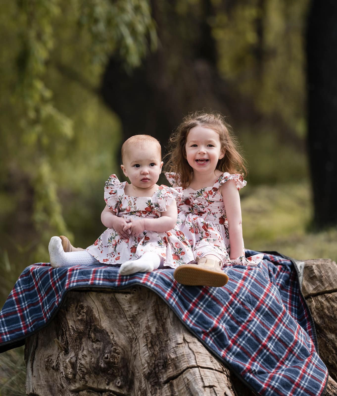 fountain valley reserve family shoot - shaw family 9 Kids on a tree stump