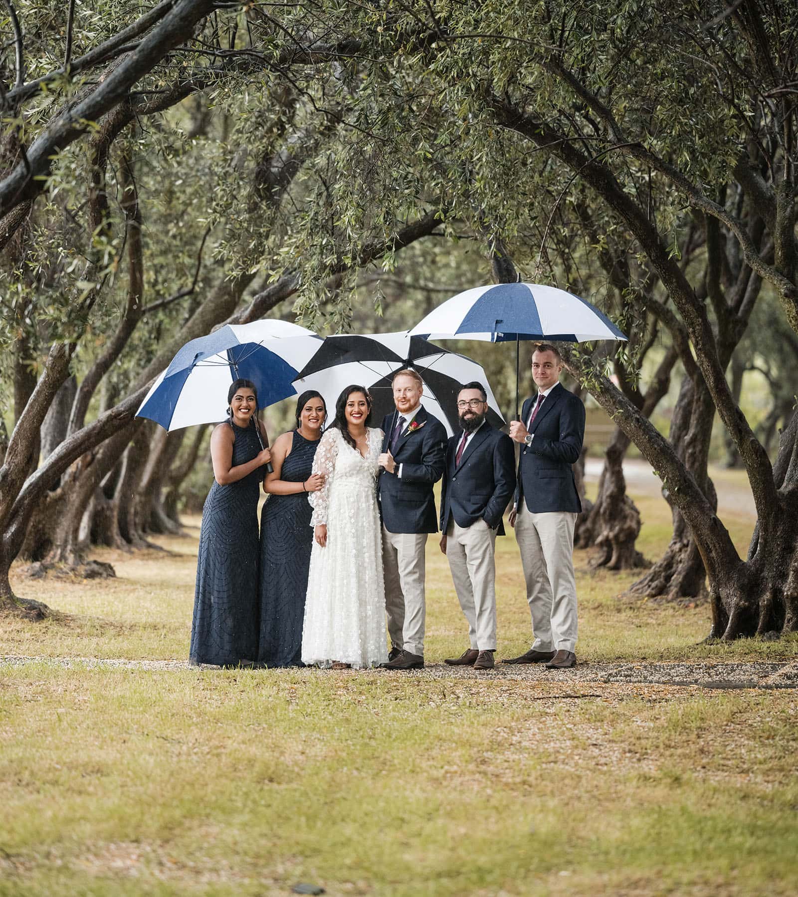 ekhidna winery wedding - chami & bryce 24 Bridal party in the Olive Grove