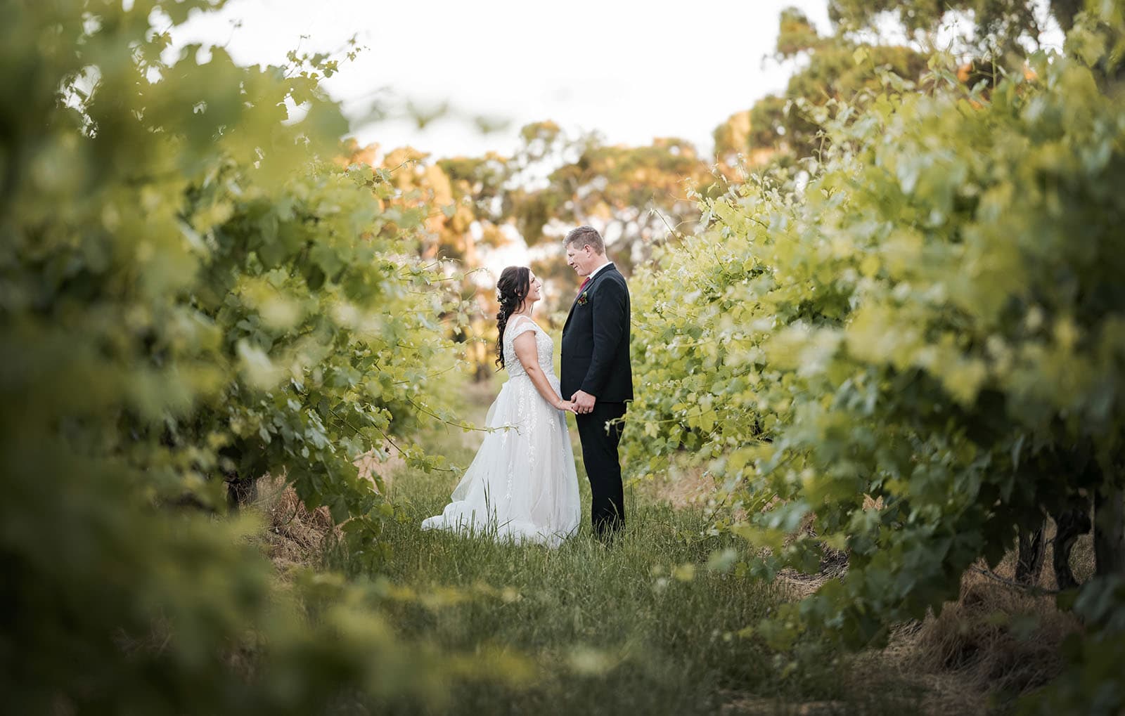 woodstock winery 3 Woodstock winery wedding photography