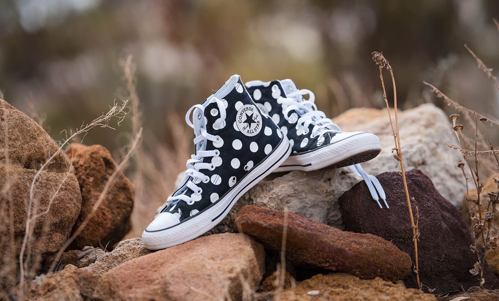 riverland wine centre wedding - lisa & mitch 164 Bridal converse shoes