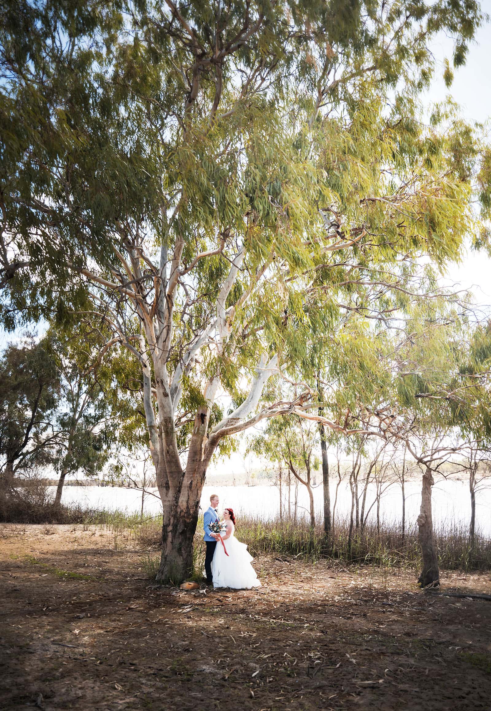 riverland wine centre wedding - lisa & mitch 181 Bride and groom under big gum tree