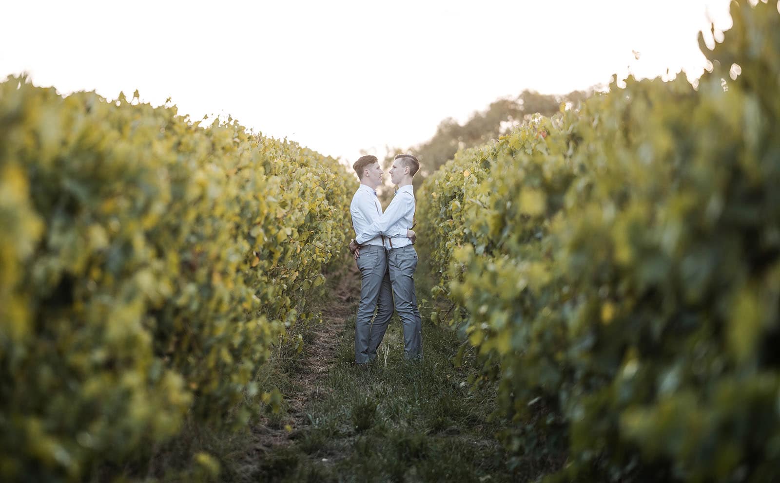 k1 winery wedding - mitch & nick 137 Grooms hugs in vineyard